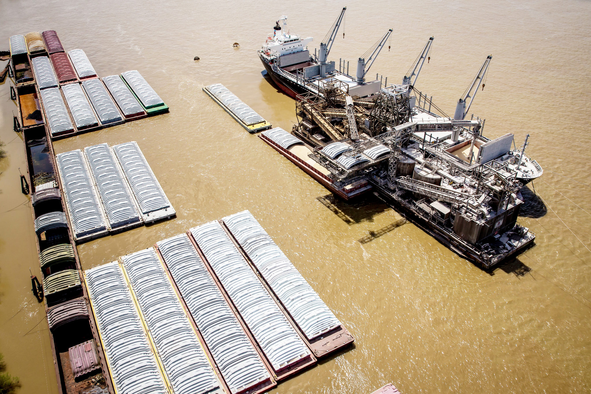 Myrtle Grove / MGMT Associated Terminals